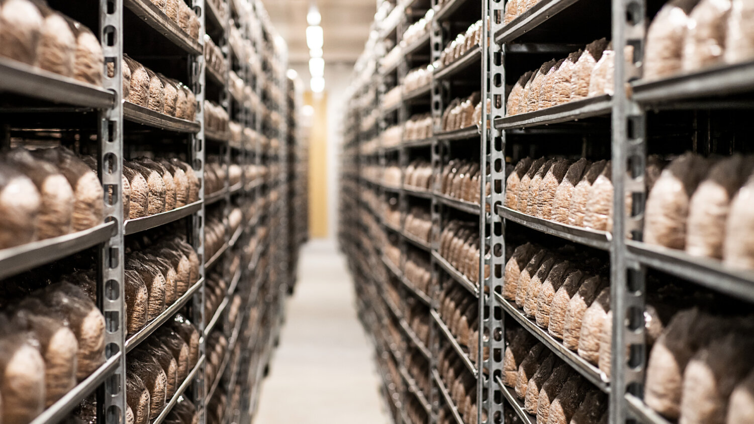 Kernser Substrate Fullservice Hero