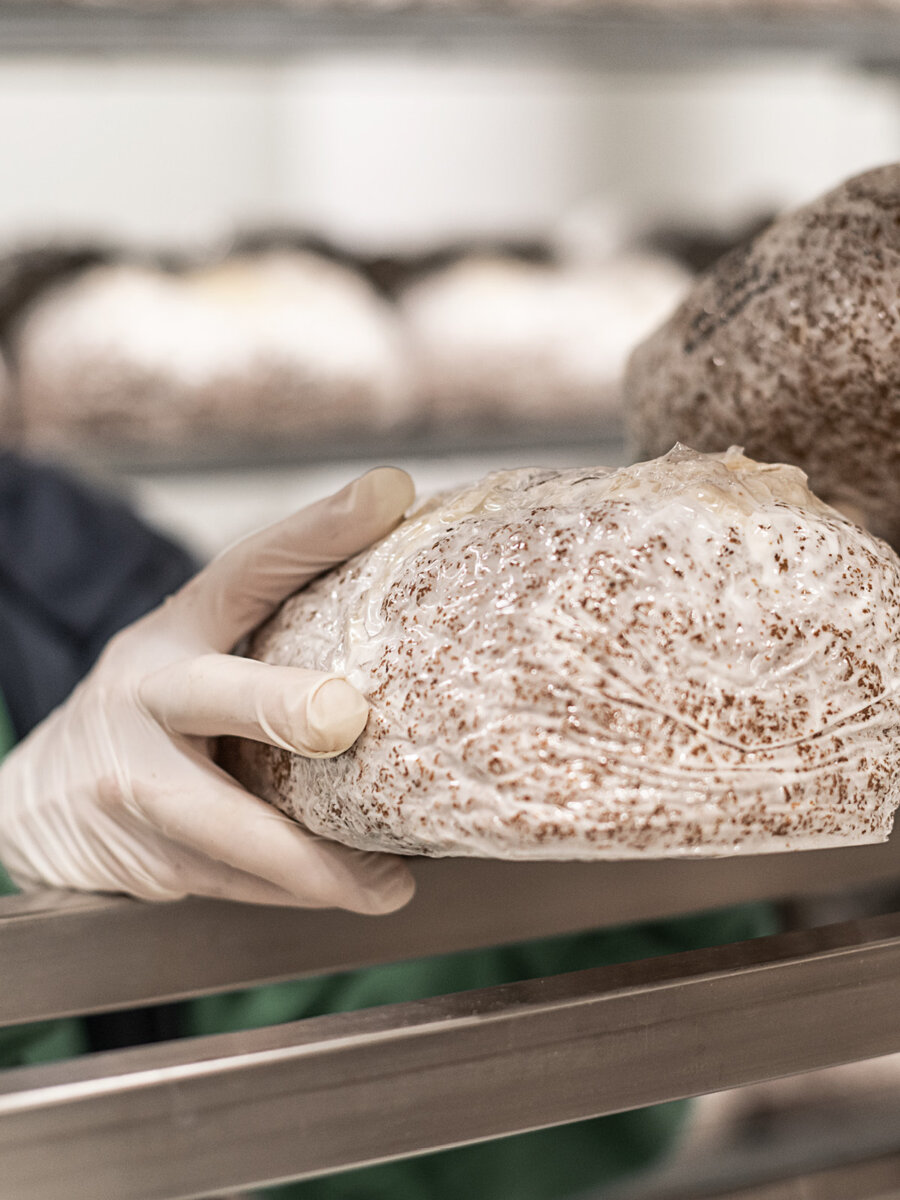 Kernser Substrate Fullservice Leistungen Support