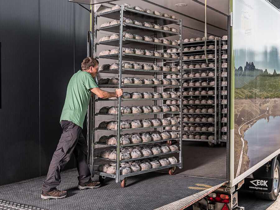 Kernser Substrate Fullservice Lieferung Produktion