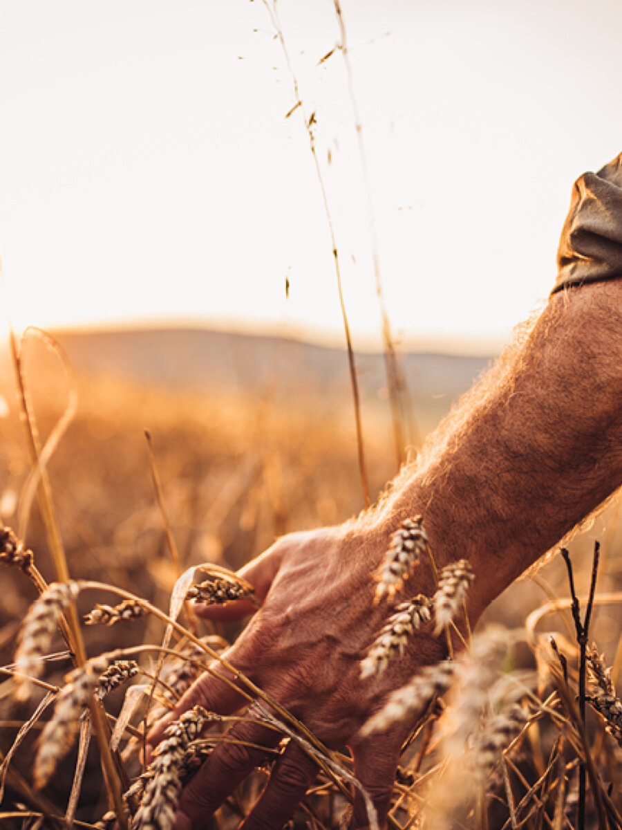 Kernser Substrate Produktion Rohstoffe Power