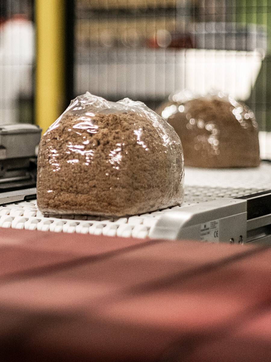 Kernser Substrate Produktion Technologie Verpacken